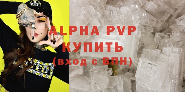 эйфоретик Осташков