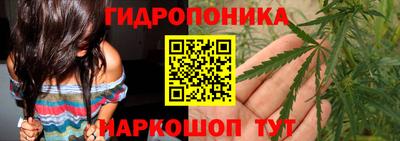 эйфоретик Кандалакша