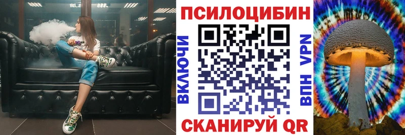 Галлюциногенные грибы мицелий  даркнет сайт  Нефтекумск 