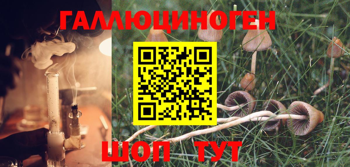 Псилоцибиновые грибы MAGIC MUSHROOMS Нефтекумск