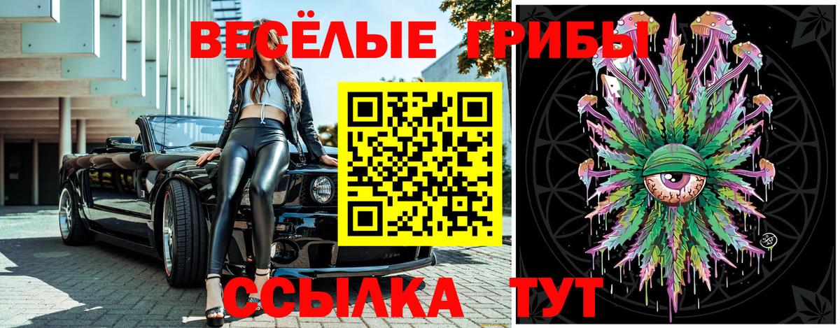Галлюциногенные грибы прущие грибы Нефтекумск