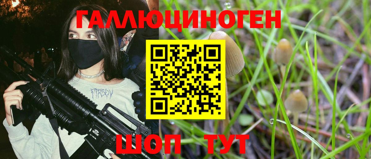 Нефтекумск  Псилоцибиновые грибы Magic Shrooms  Галлюциногенные грибы Psilocybine cubensis  Вход с VPN 