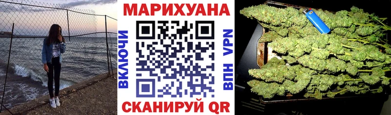Бошки Шишки SATIVA & INDICA  omg   Нефтекумск  где купить  